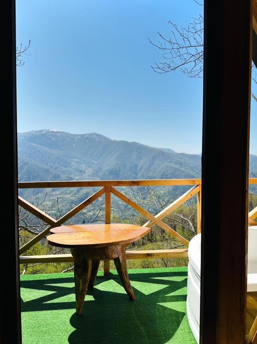 Panorama Merisi Apartment Inasharidzeebi