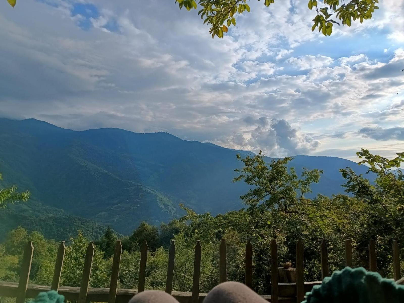 Panorama Merisi Inasharidzeebi